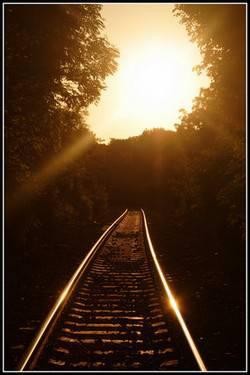 .:. Le ChEmIn De L'aMoUr .:.